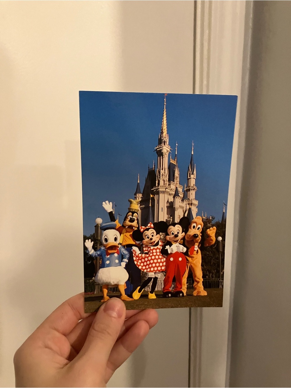 Vintage Walt Disney World Postcard Mickey, Minnie, Goofy, Donald, & Pluto